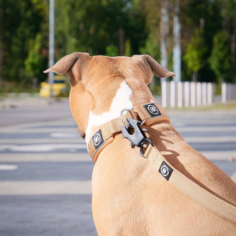 Slip-on Harness & Mini Combat Lead Bundle – Red
