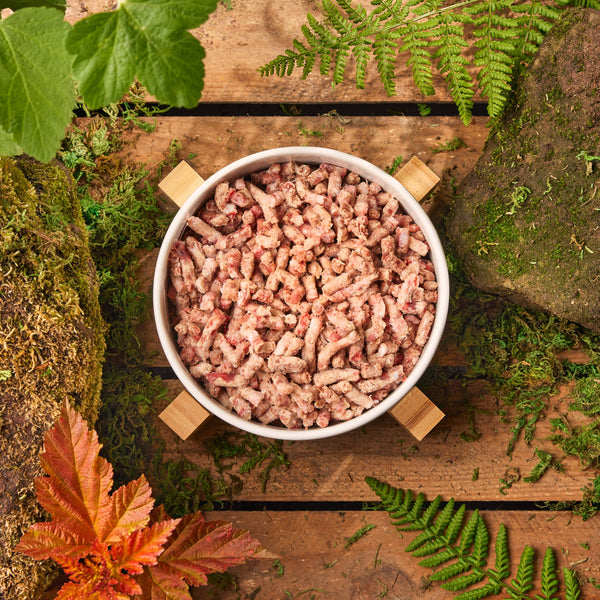 Raw Duck, Beef and Offal