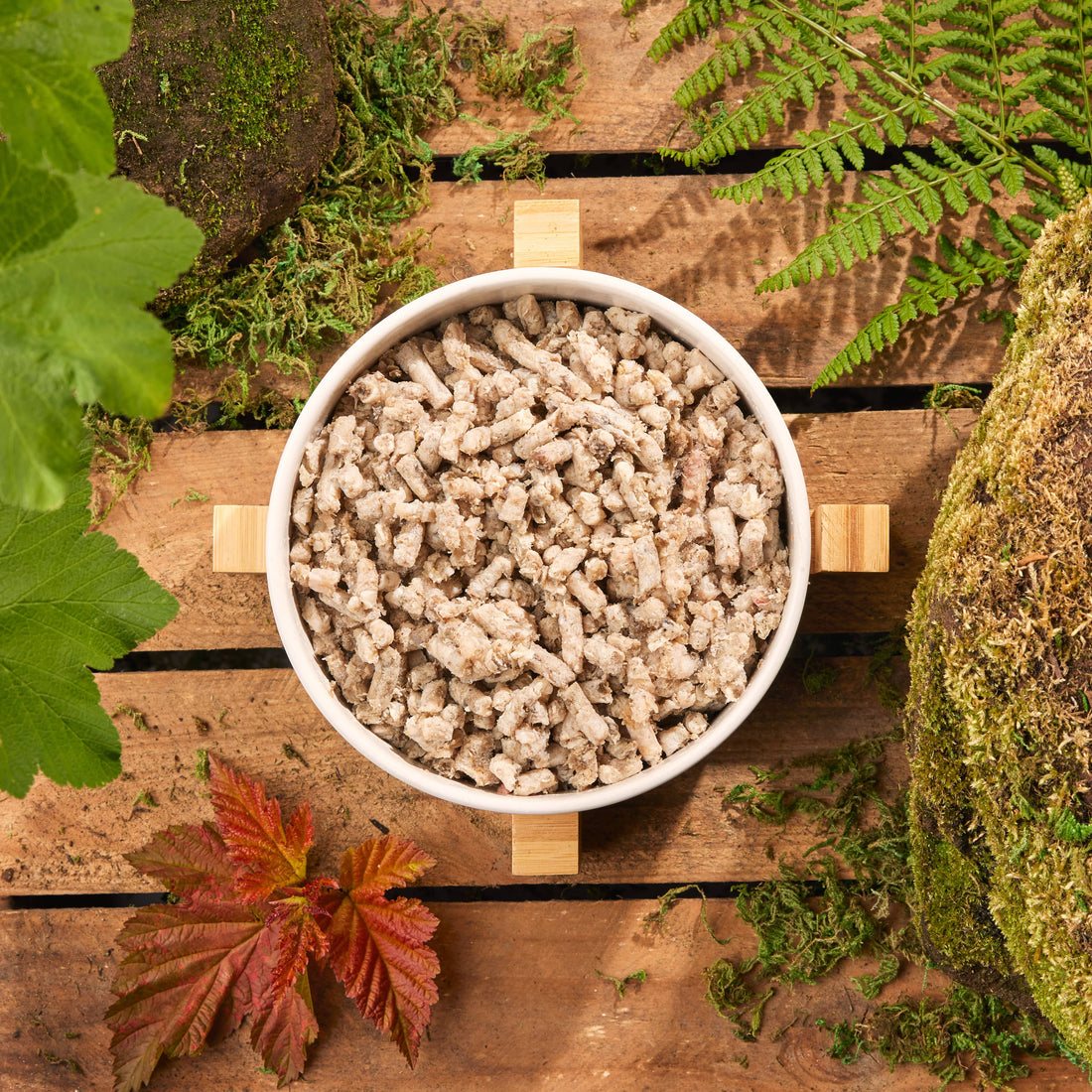 featured image of Raw Tripe