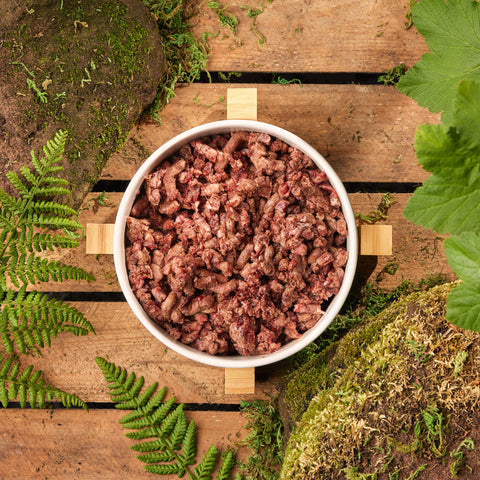 Natural Raw Dog Food