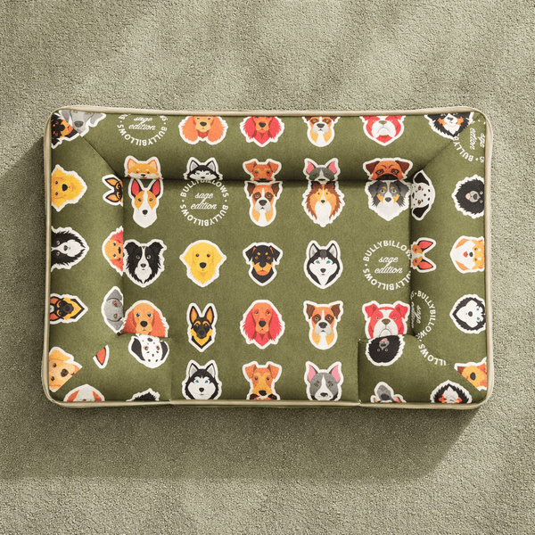 Luxury Dog Bed - Sage Edition | Add your dogs name