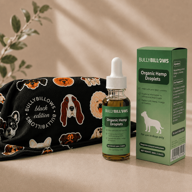 Dog blanket wellness bundle with hemp droplets 