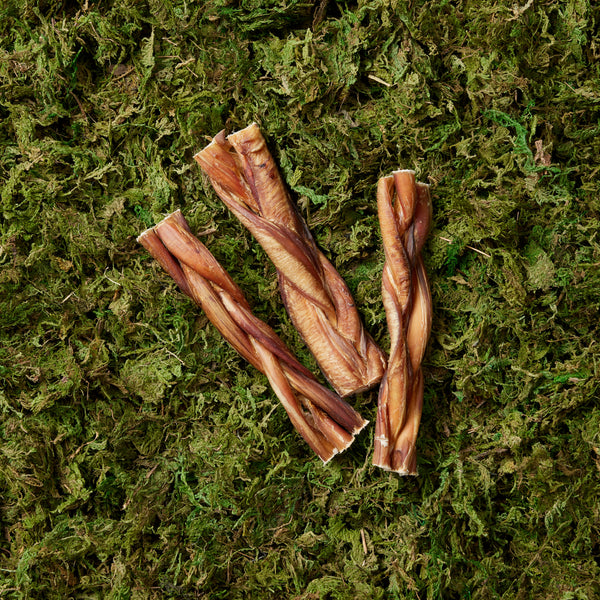 Braided Beef Pizzle - 2 pieces