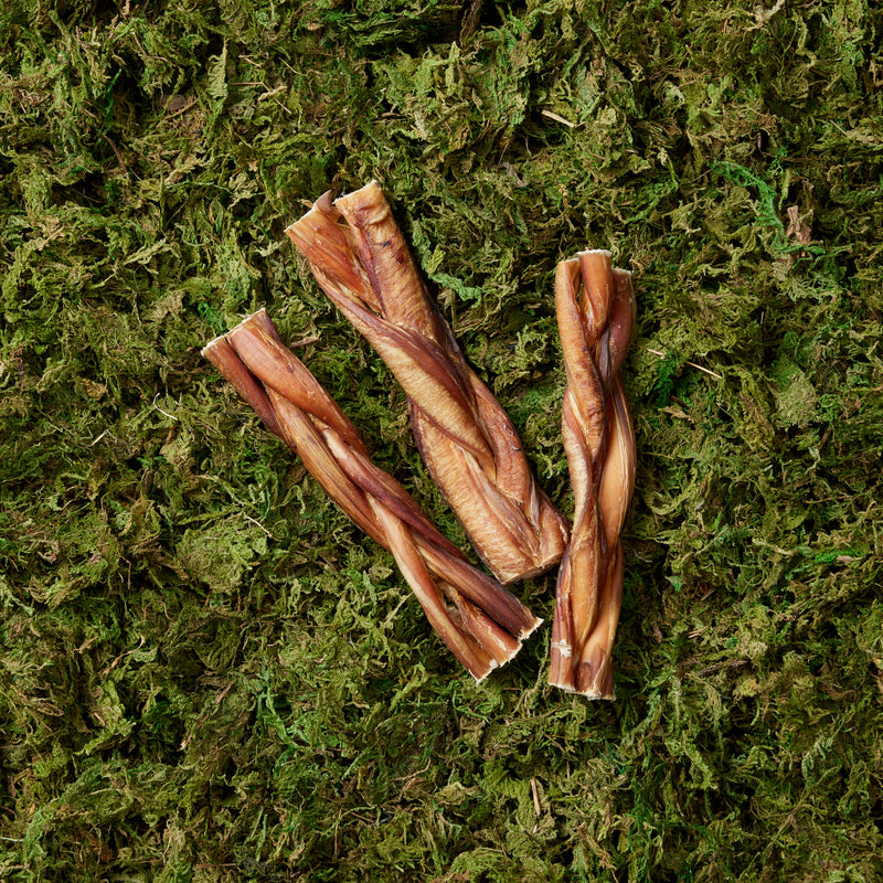 Braided Beef Pizzle - 2 pieces