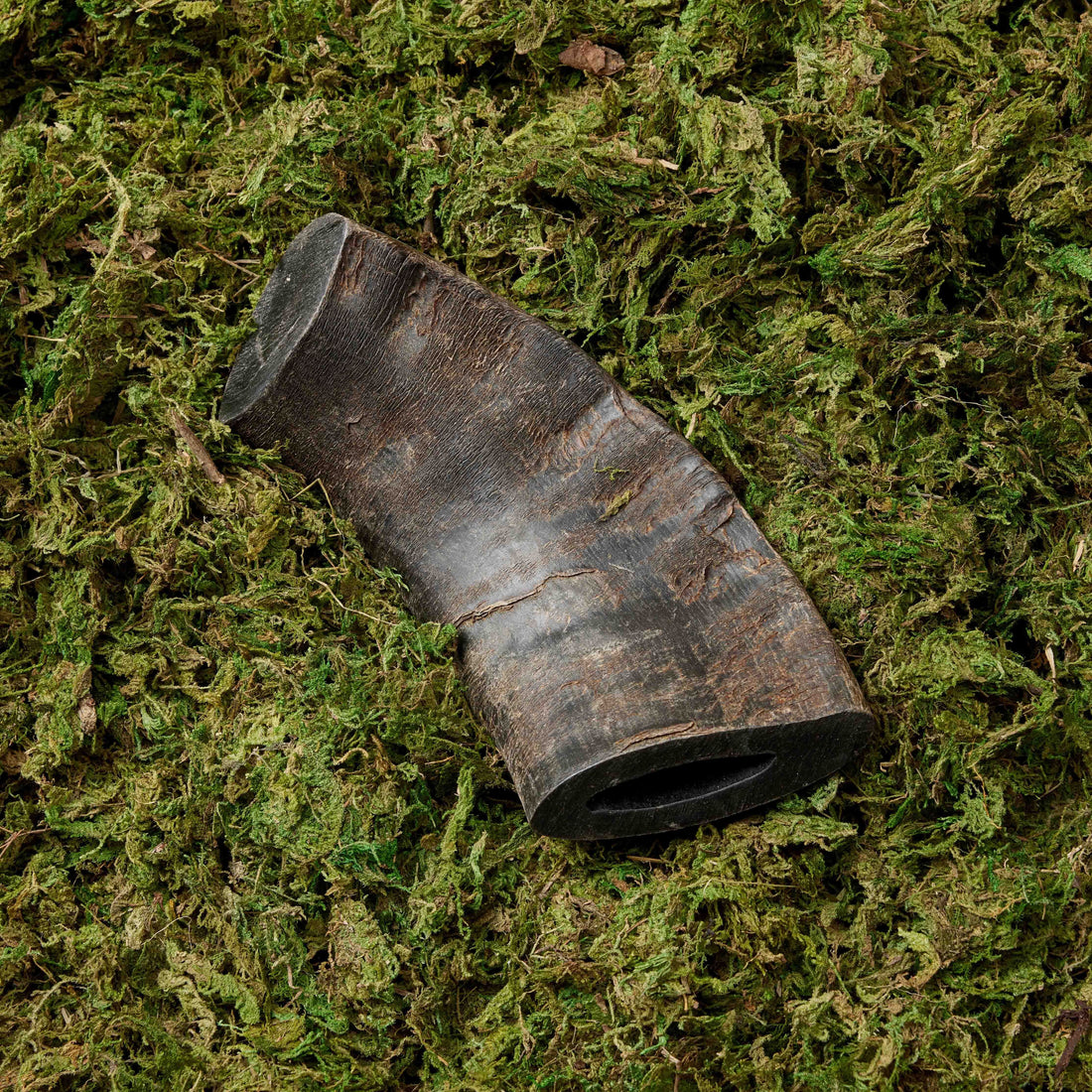 featured image of Solid Buffalo Horns