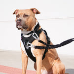 Hurricane Harness - Non Restrictive, With Handle, Adjustable & Reflective - All Breeds - Orange