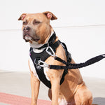 Hurricane Harness - Non Restrictive, With Handle, Adjustable & Reflective - All Breeds - Olive Green