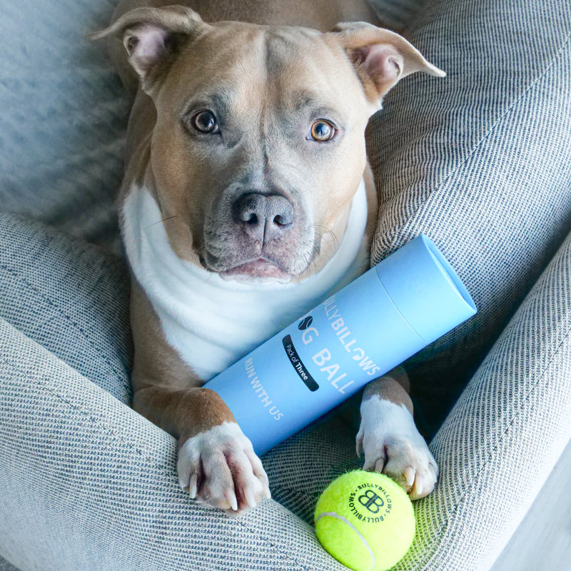 Dog Tennis Balls