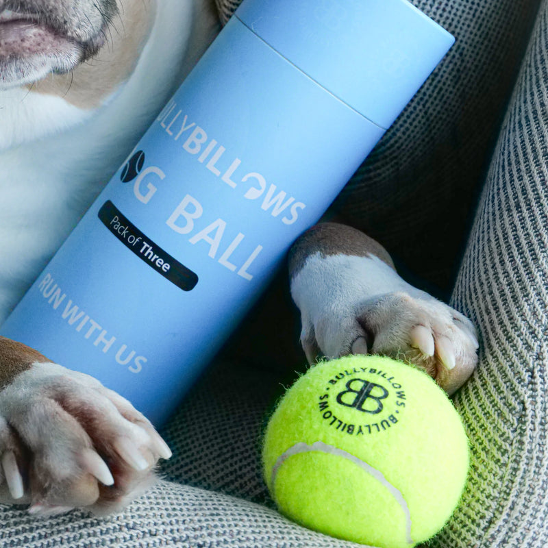 Dog Tennis Balls