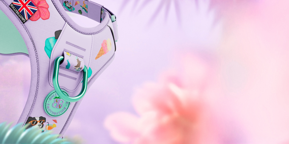 Pressure‑Free Control, Reimagined in Balmy Colours