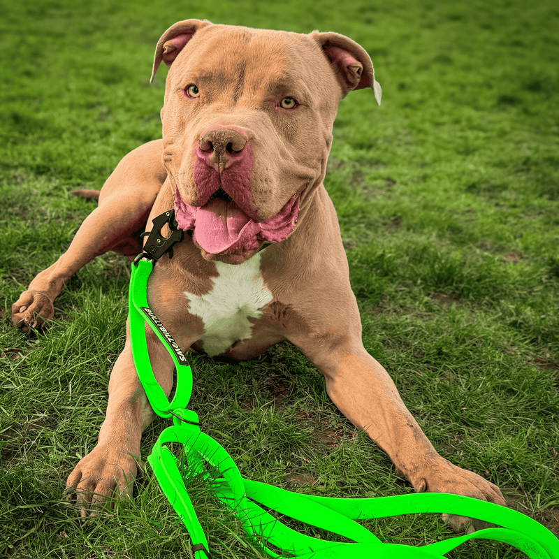 10m Recall Billowthane® Lead | Waterproof | Neon Green