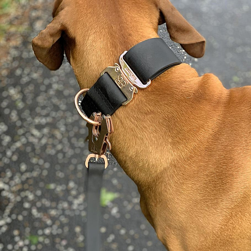 5cm Combat Billowthane® Collar | Waterproof - Rose Gold