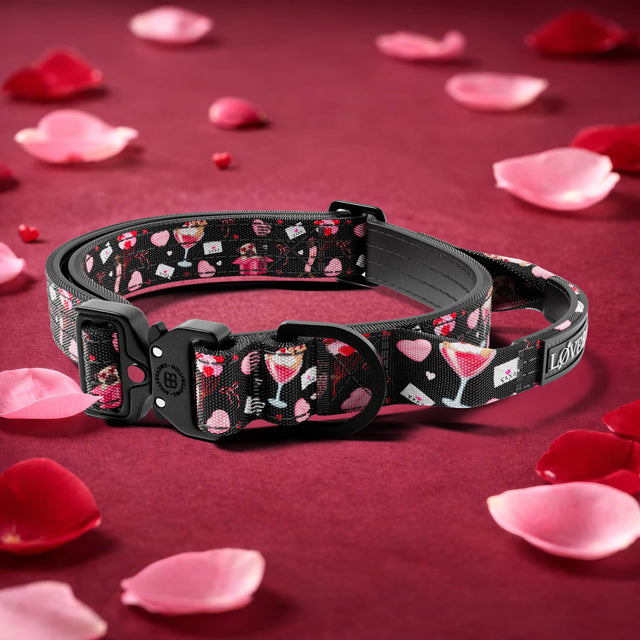 2.5cm Lighter Combat® Collar | With Handle & Secure Clip - Dark Love Edition