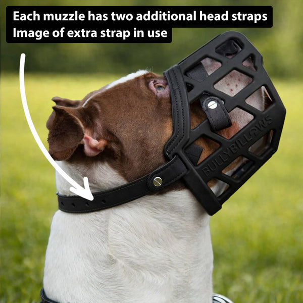 Premium Comfort Muzzle | x2 Additional Head Straps - Black