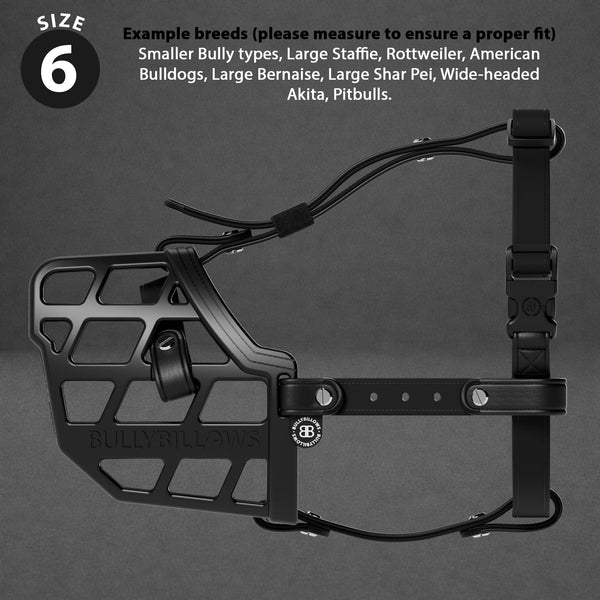 Premium Comfort Muzzle | x2 Additional Head Straps - Black