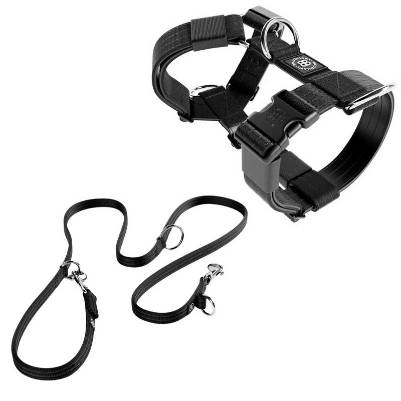 TRI-Harness® & Training Lead Bundle - Black