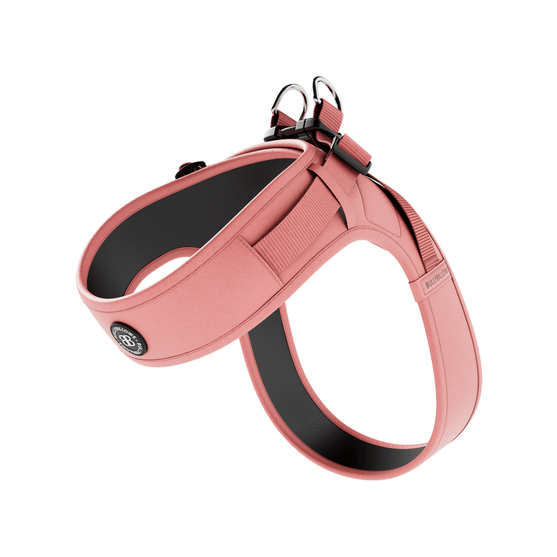 Boomerang Harness - XS-M Breeds - Pink