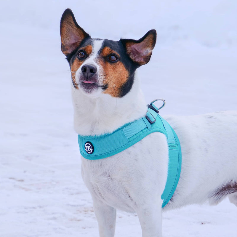 Boomerang Harness - XS-M Breeds - Grey