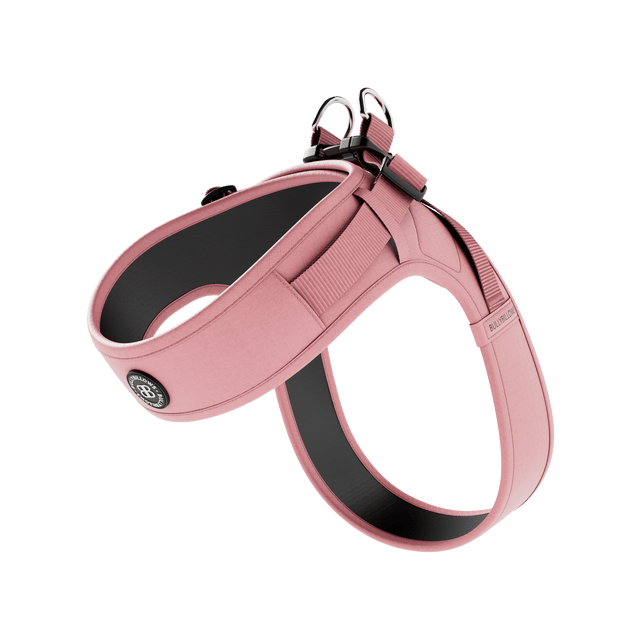 Boomerang Harness