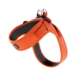 Boomerang Harness - Non Restrictive, Lightweight, Small - Medium Breeds - Orange
