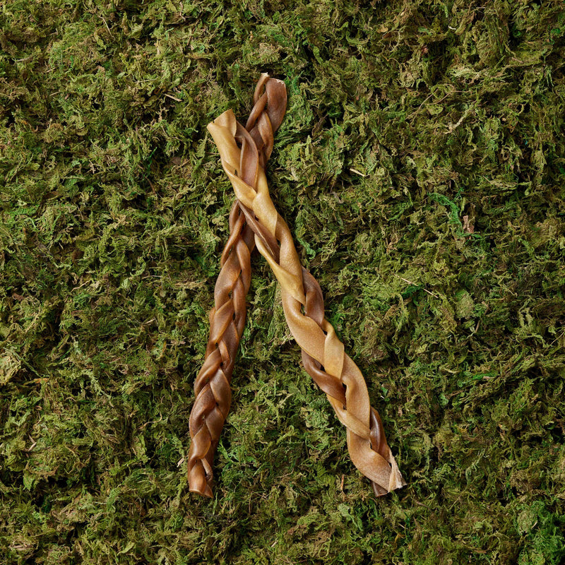 Natural Camel Chews - 2 Pieces