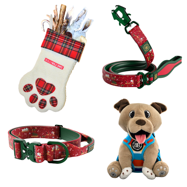 MerryBillows 4cm Collar and Lead Bundle with Treats and Teddy - Large Dog