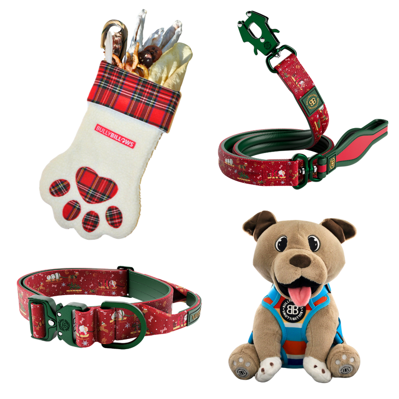 MerryBillows 4cm Collar and Lead Bundle with Treats and Teddy - Small Dogs