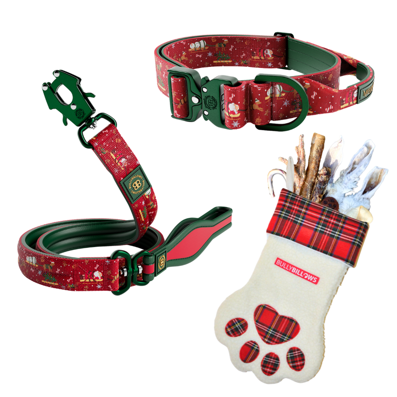 MerryBillows 4cm Festive Tails Treats Bundle - Large Dogs