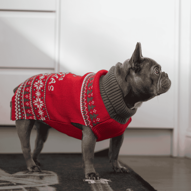 Christmas Dog Fleece