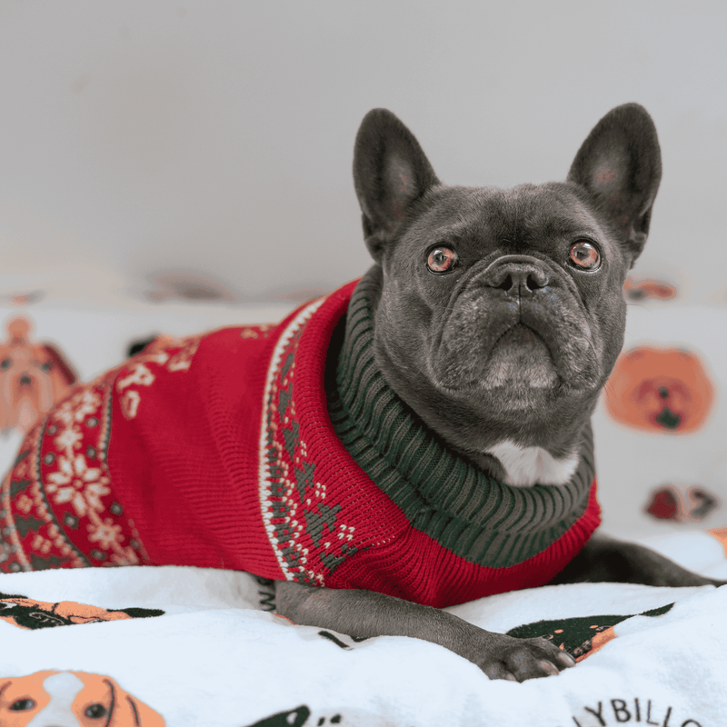 Christmas Dog Fleece