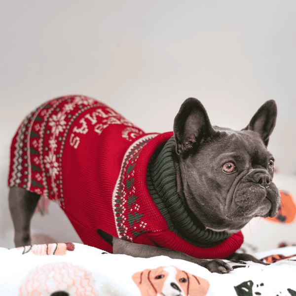 Christmas Dog Fleece