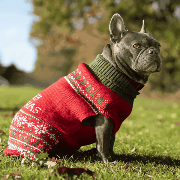 Christmas Dog Fleece