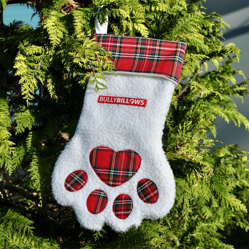 MerryBillows 4cm Festive Tails Treats Bundle - Small Dogs