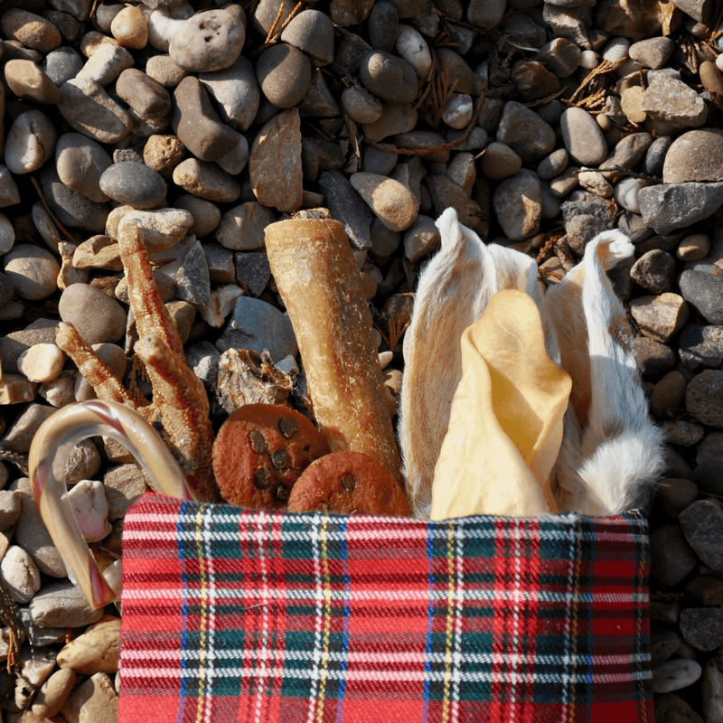 Paw Christmas Stocking With Natural Treats for Larger Dogs