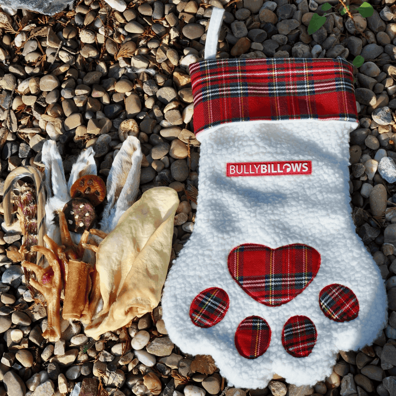 Paw Christmas Stocking With Natural Treats for Smaller Dogs