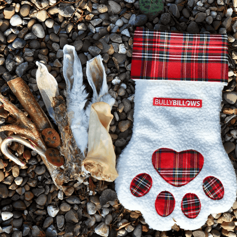 Paw Christmas Stocking With Natural Treats for Larger Dogs