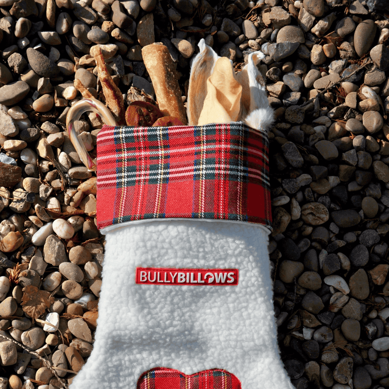 Paw Christmas Stocking With Natural Treats for Larger Dogs
