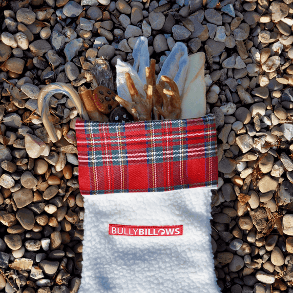 Paw Christmas Stocking With Natural Treats for Smaller Dogs