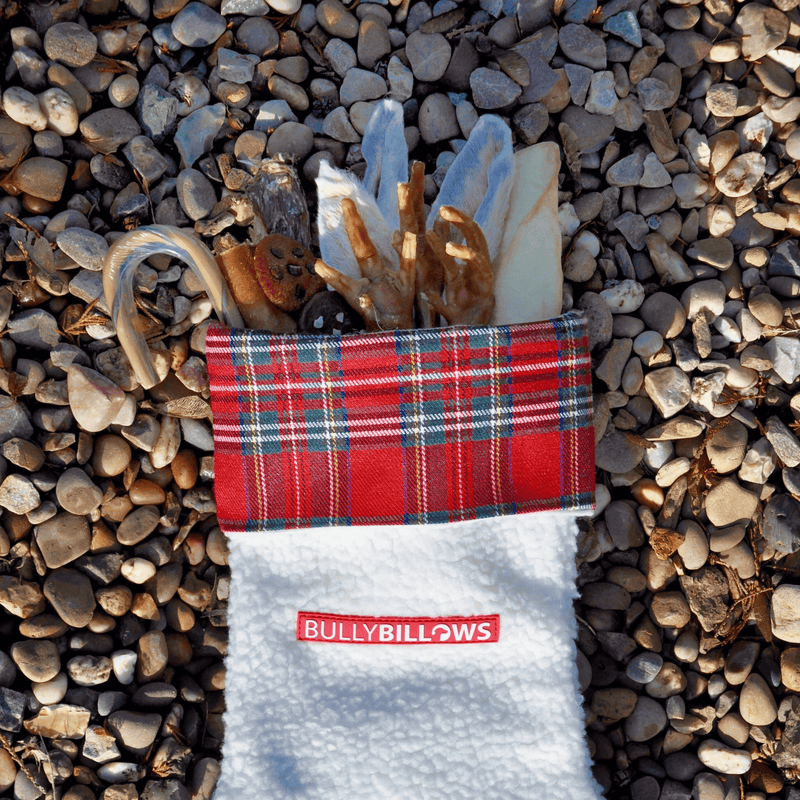 Paw Christmas Stocking With Natural Treats for Smaller Dogs