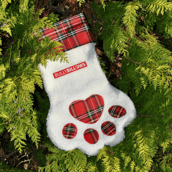 Dog Paw Christmas Stocking
