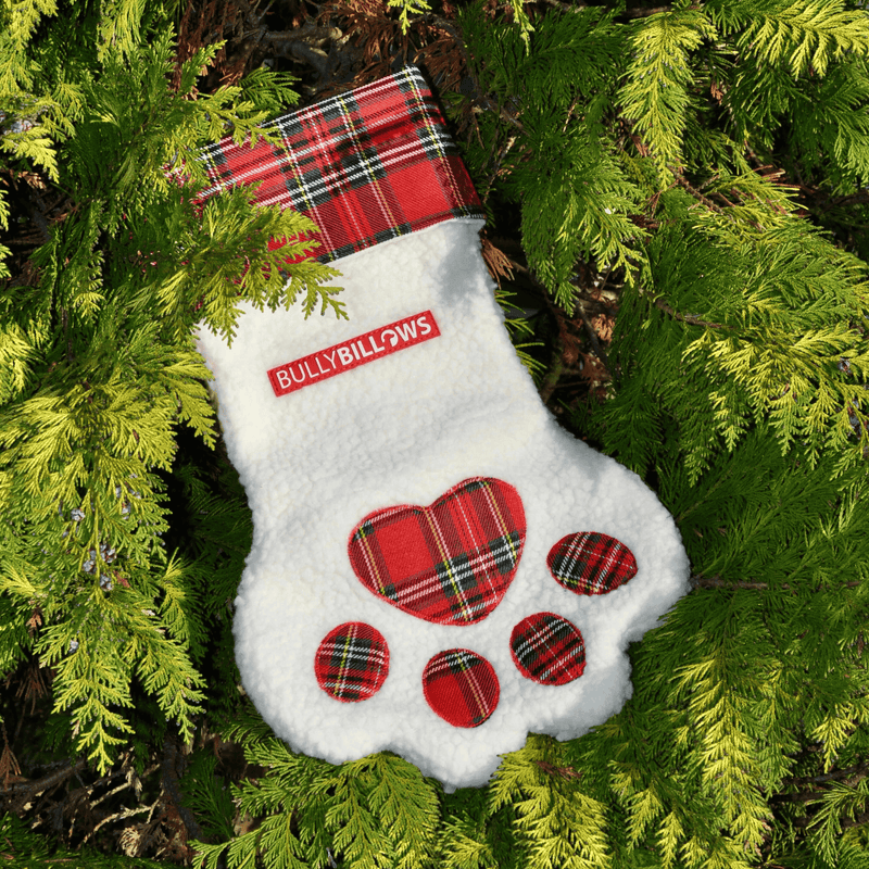 Dog Paw Christmas Stocking