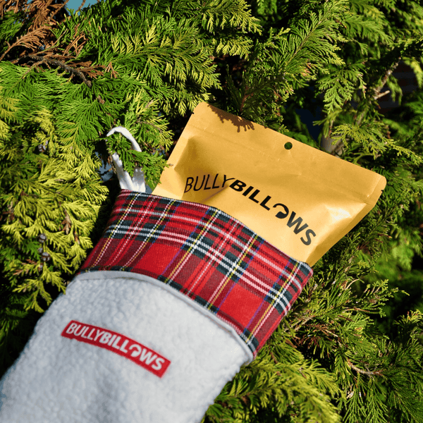 Paw Christmas Stocking With Natural Treats for Larger Dogs