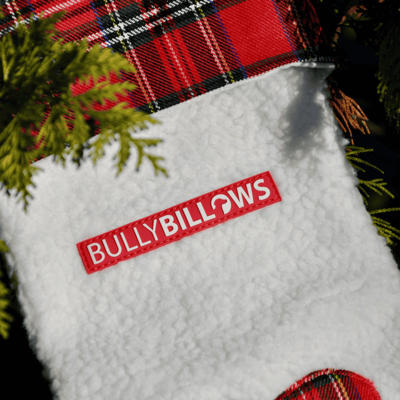 Paw Christmas Stocking With Natural Treats for Larger Dogs