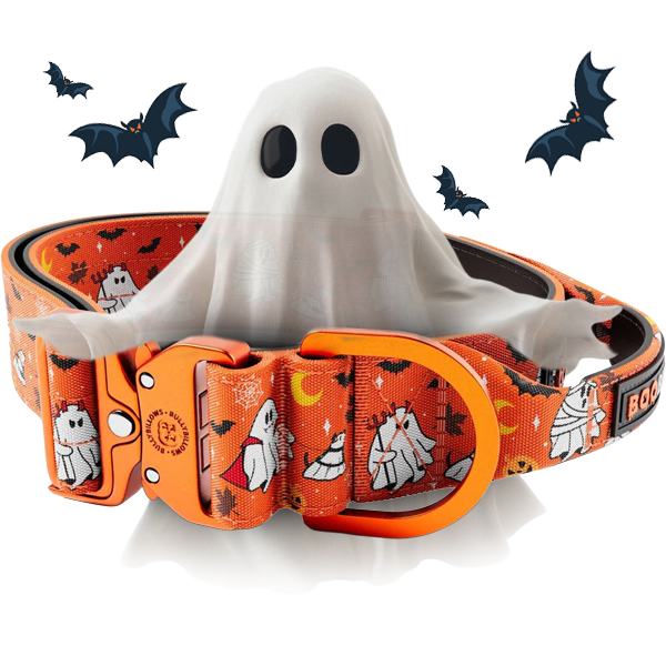 Collars