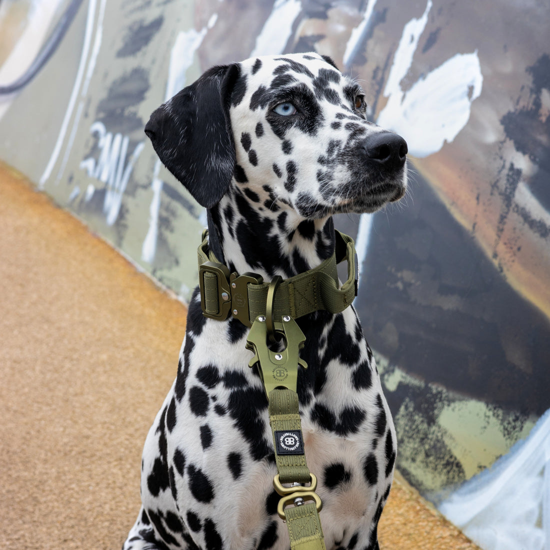 featured image of 5cm Lighter Combat® Collar | With Handle Secure Clip - Khaki x Khaki