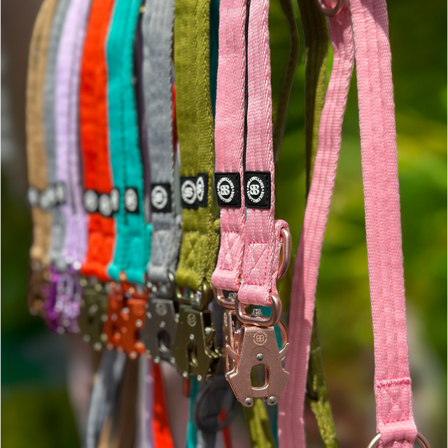 Lightweight Training Double Ended Lead | 2m Length