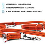 Double Ended Training Lead | All Breeds - Durable & Soft 2m Lead - Orange