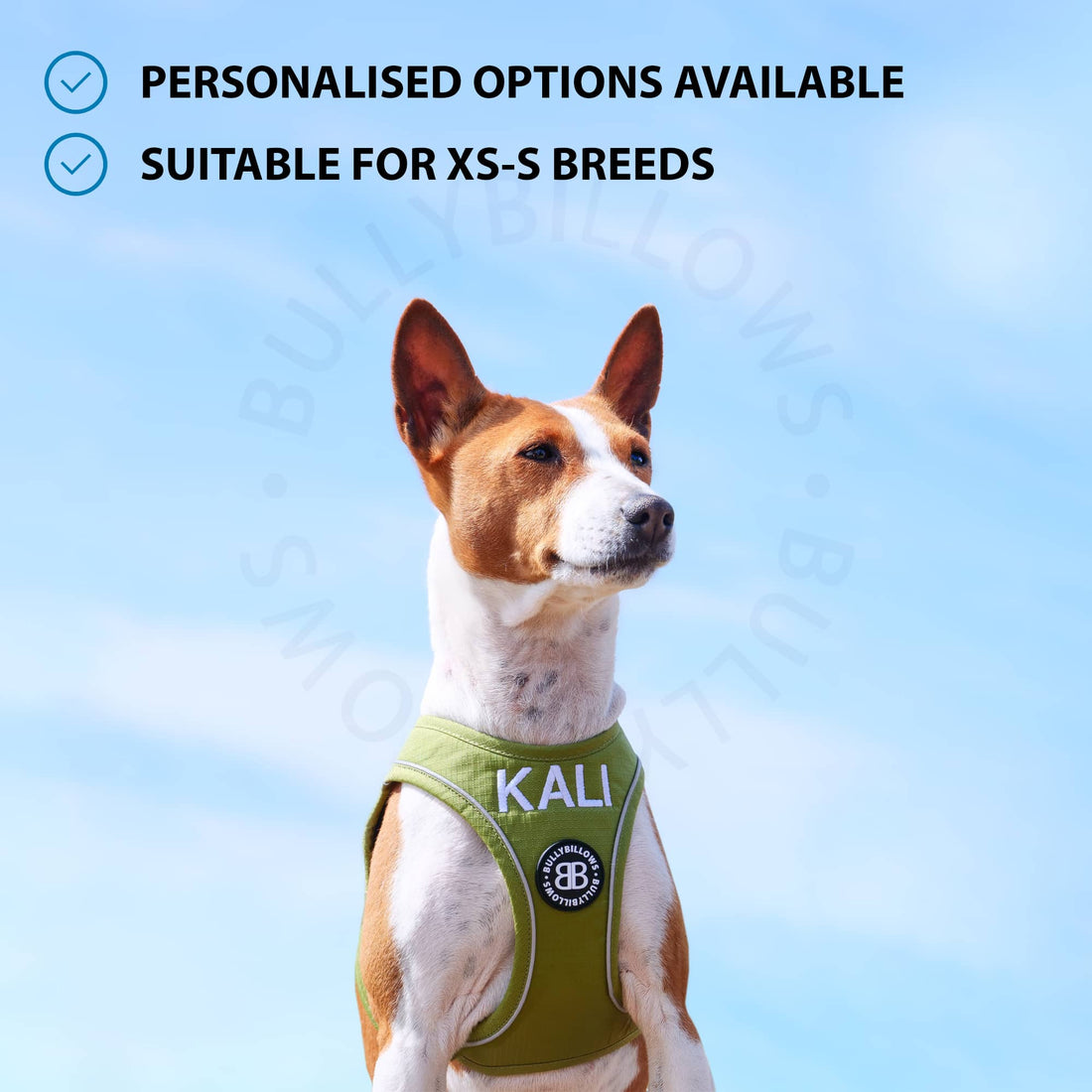featured image of Step in Harness | XS-M Breeds - Orange