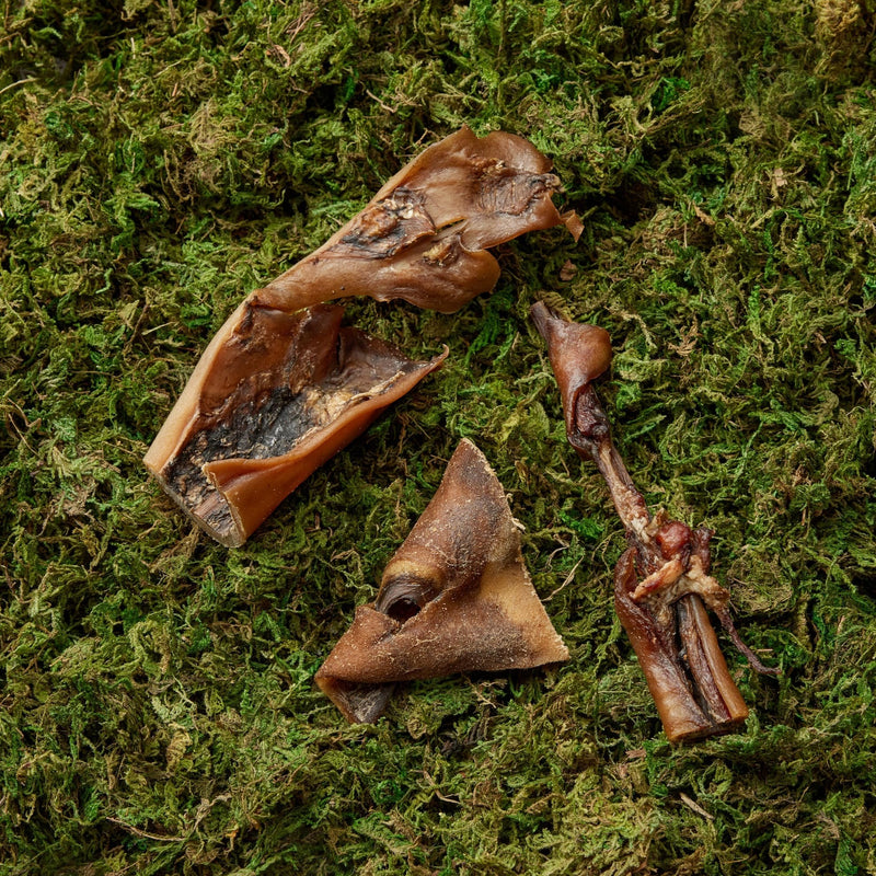Camel Skin - 100g