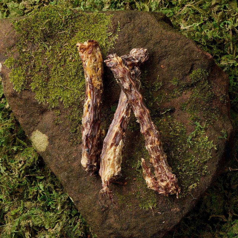 Duck Necks - 3 Pieces
